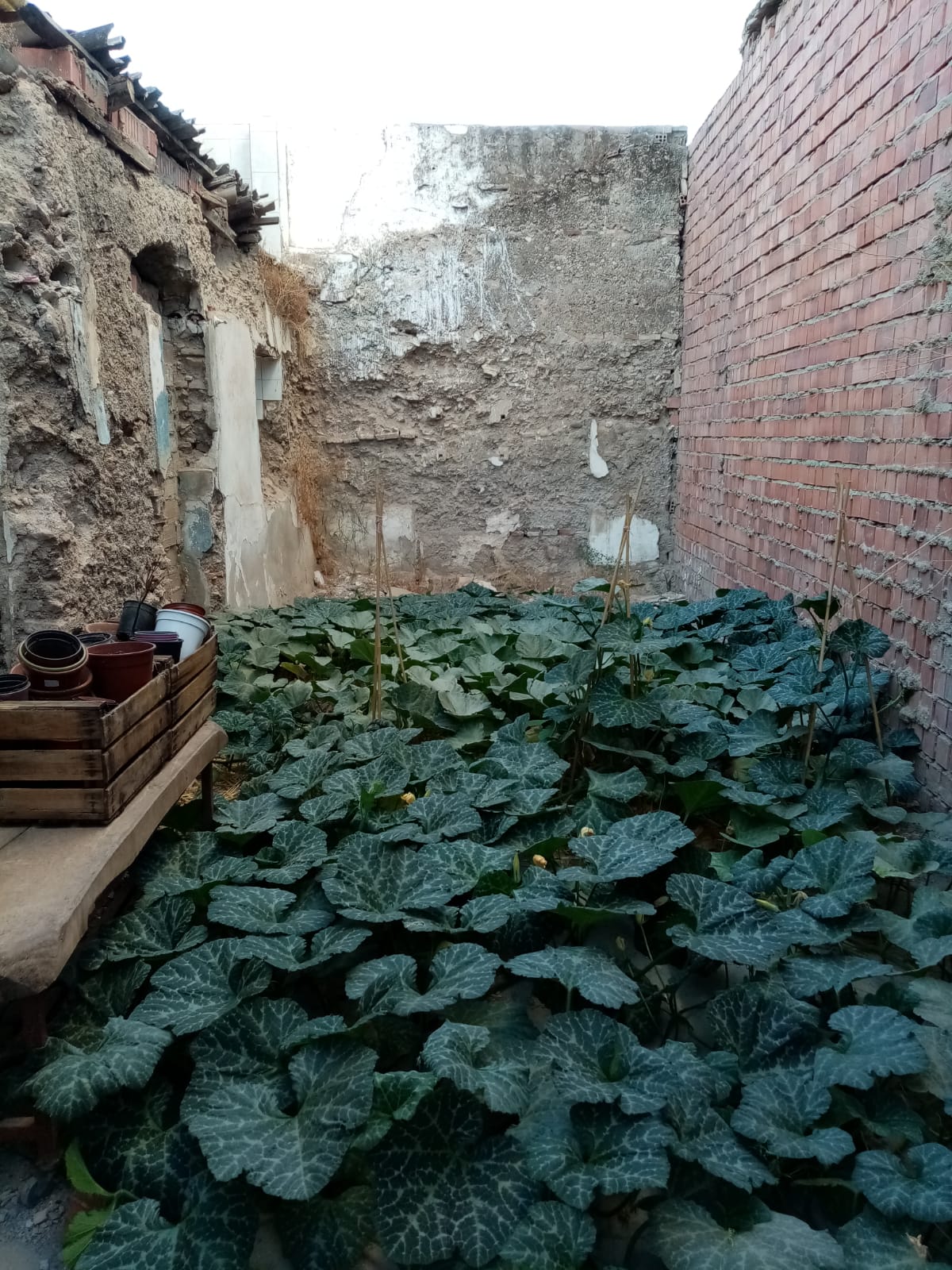 imagen_post_agricola