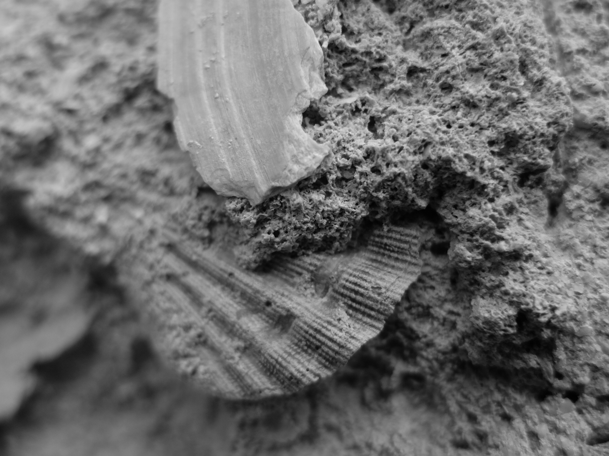 imagen_post_agricola