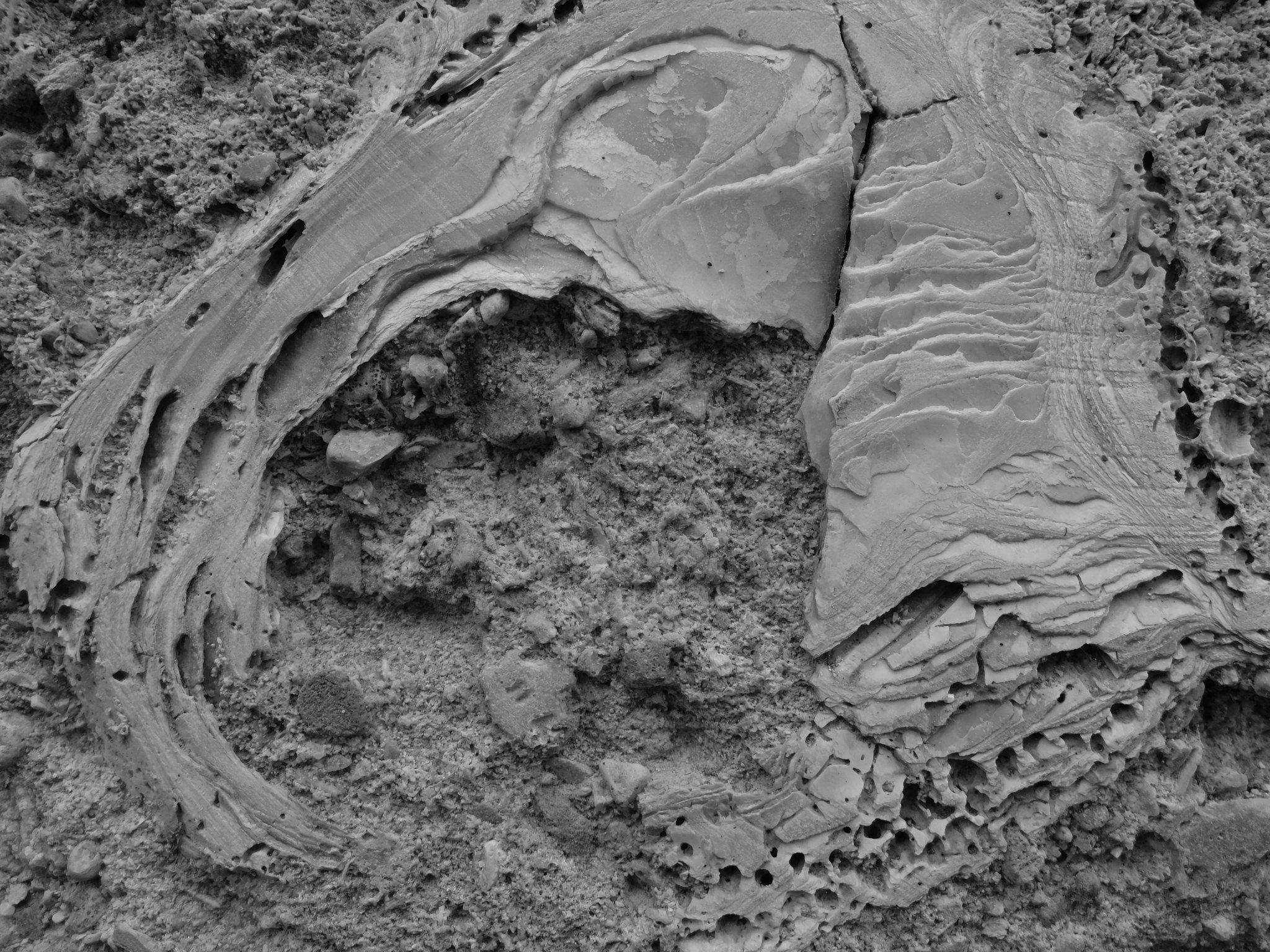 imagen_post_agricola