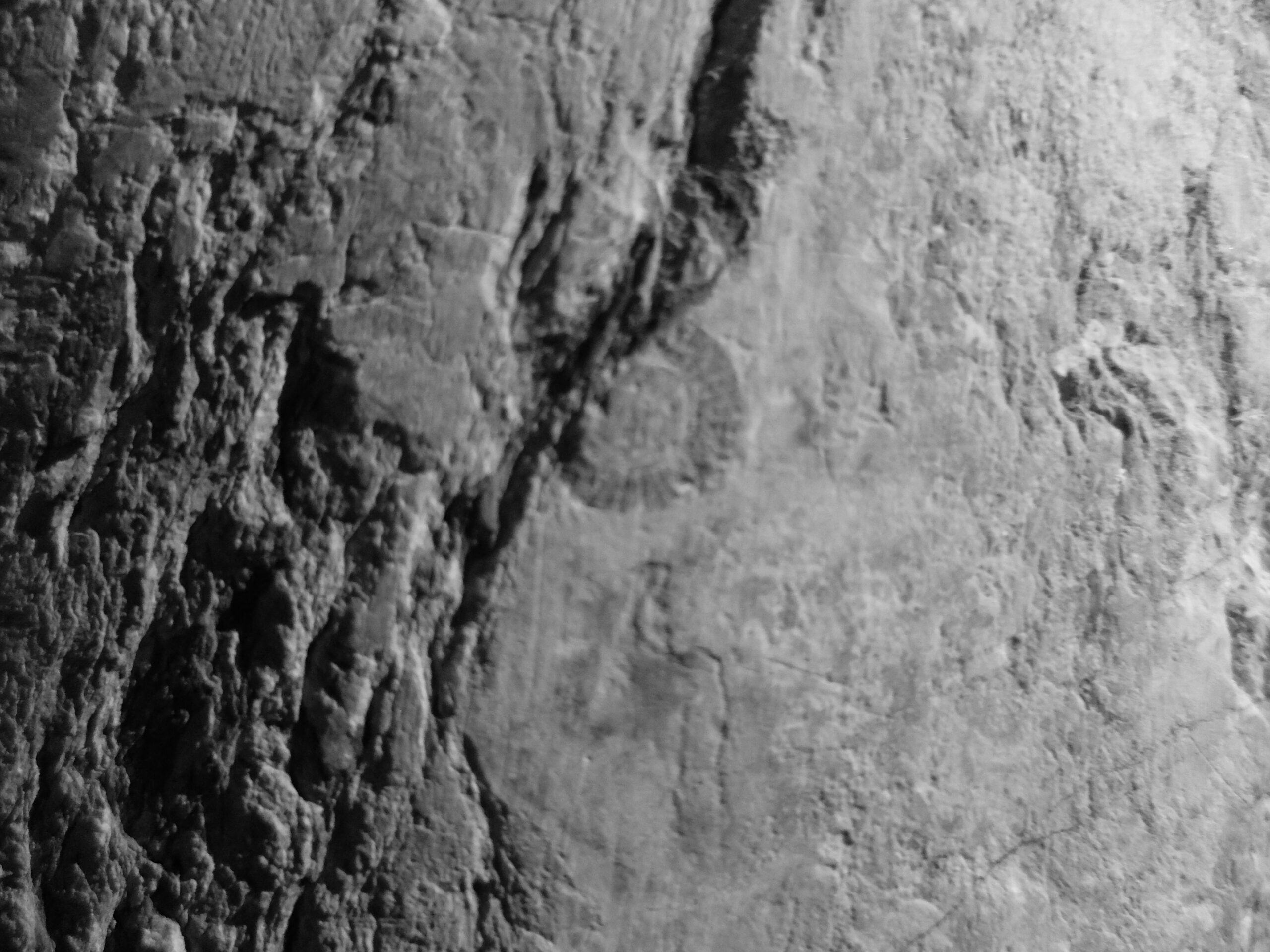 imagen_post_agricola