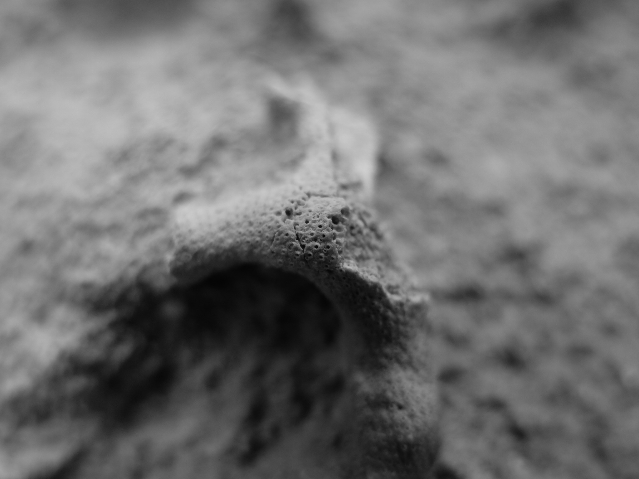 imagen_post_agricola