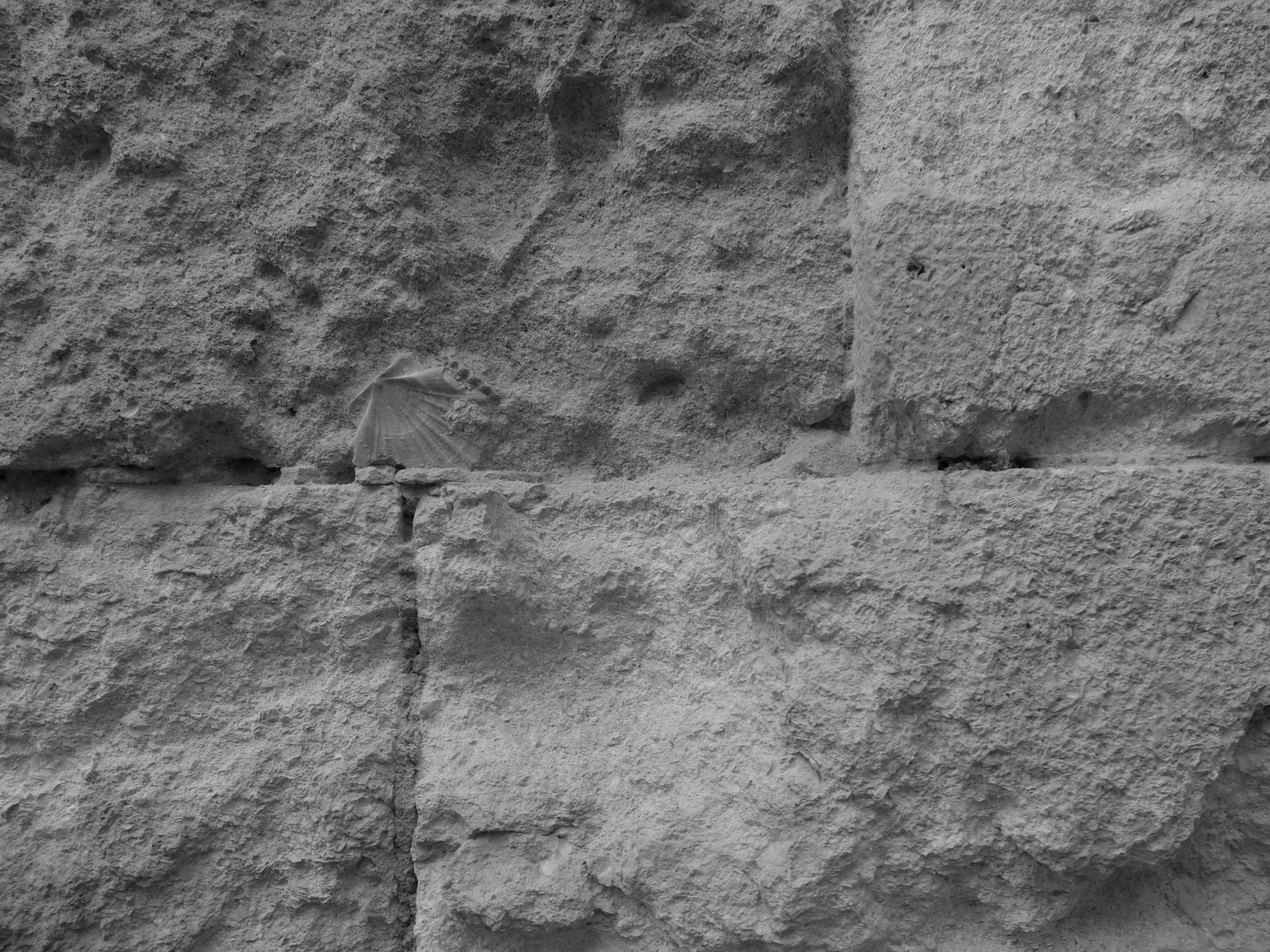 imagen_post_agricola